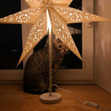 Саша Быкова (Вильнюс)