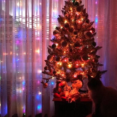 Anton Butsko (Vilnius)